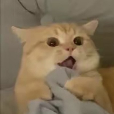 老鼠人独自闪耀