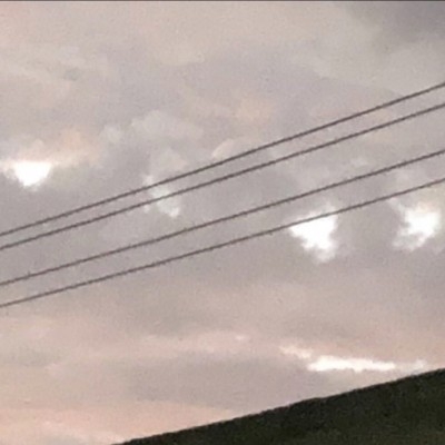 漆柒栖夜