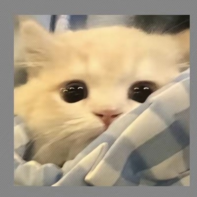 白给的茉莉茶