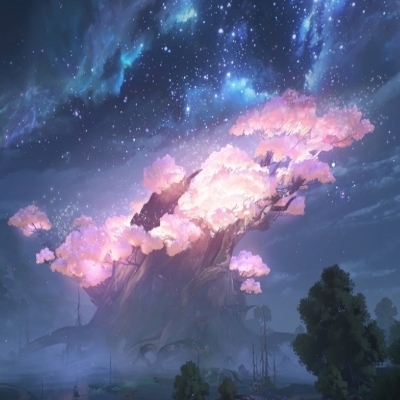 光与阴