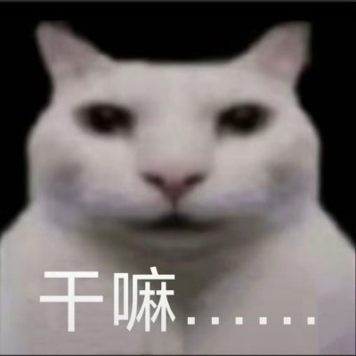 废墟之上夕弦