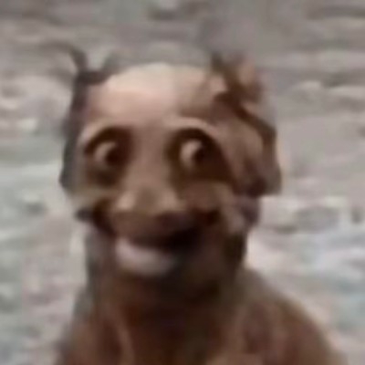 特斯拉开黑gmg309