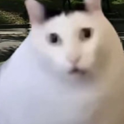 氟西汀吃八宝粥ov412