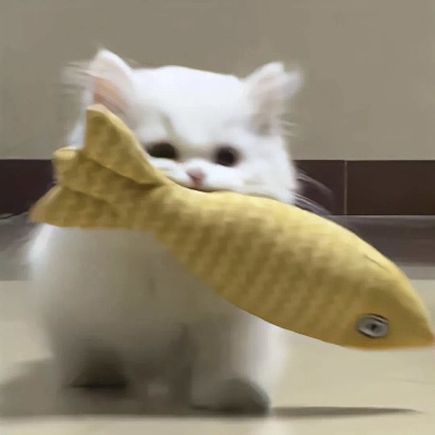 猫猫不吃鱼