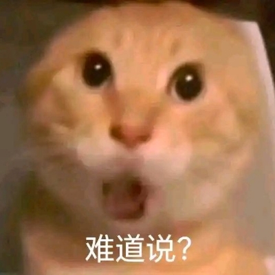 哈基米，你这家伙
