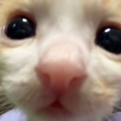 爱种草的王子yic4