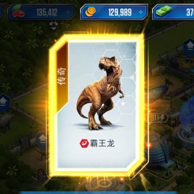 喵喵咪