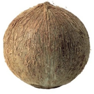 我是个椰子