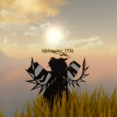 Healer