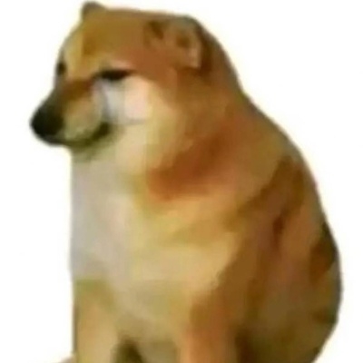 小さな保険