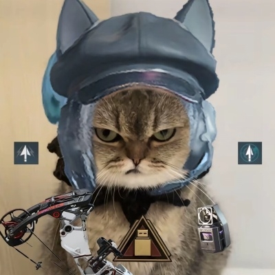 一辈子只玩方舟