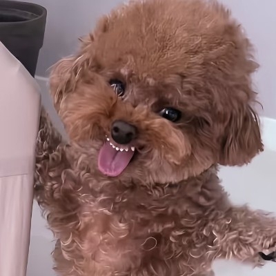 至死是单身狗ooa7