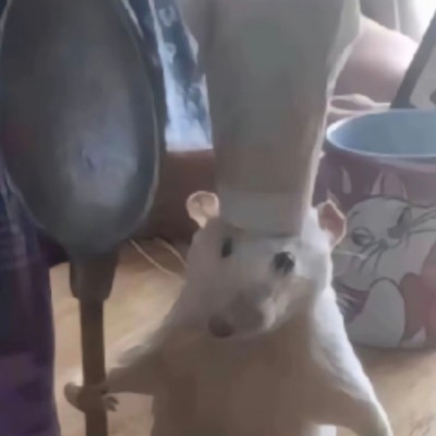 纸张