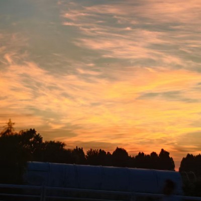 坠入情网的减肥励志人士q817