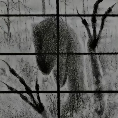 鸽子bd