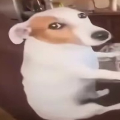 mj