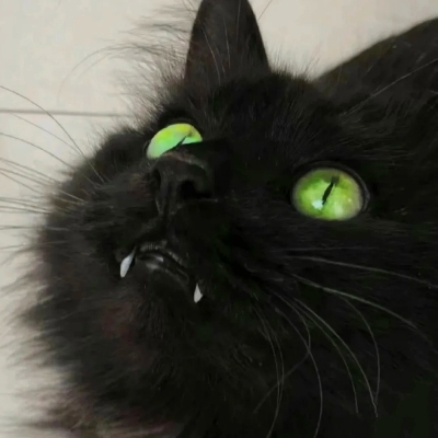 Asa