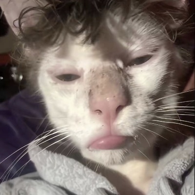雾中