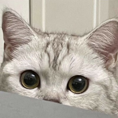 林爻