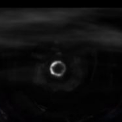 一只快乐的蟹补肉