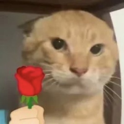 冬千筹