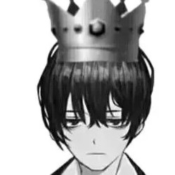 爱定规矩的向导