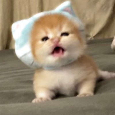 永恒糖