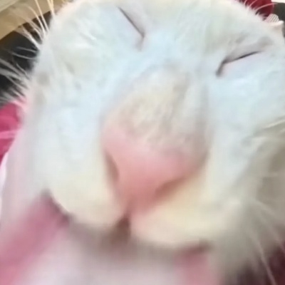 肯德基疯狂星期四