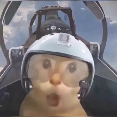 万里寻鹤