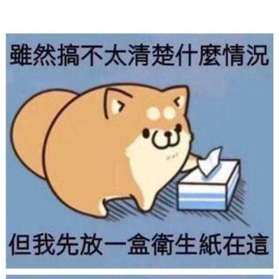小火龙会飞