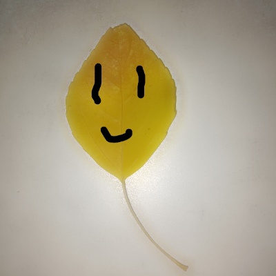 通不过验证的人机