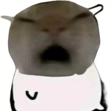 泪