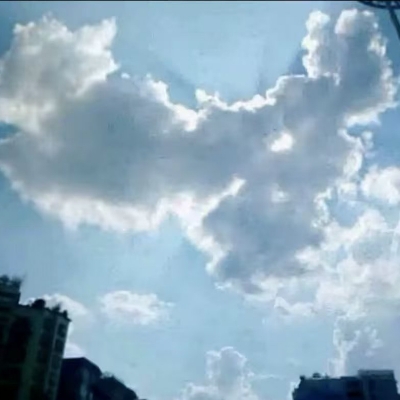一条皮带