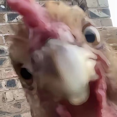 大傻个