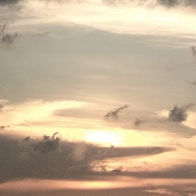 一只没馅的粽子