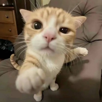 权倾朝野的恶魔l7