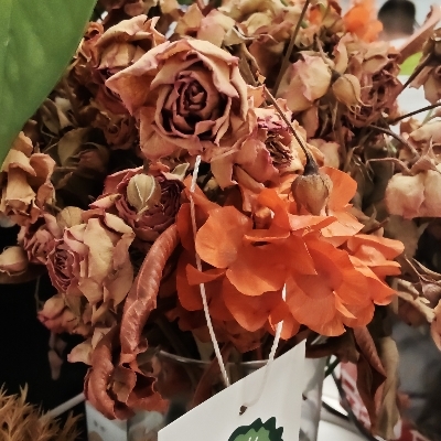 网抑云患者打水漂jbc46