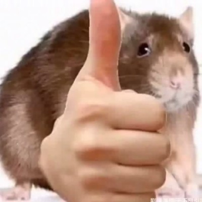 人类
