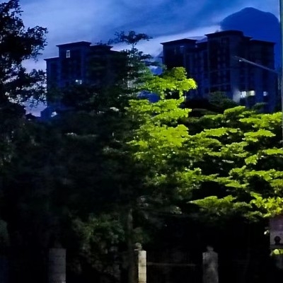 欧领炒粉