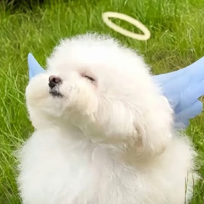 低端玩家C位出道ih510