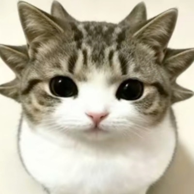 奤嵇米