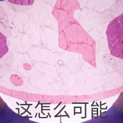 停停停，这对吗