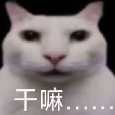 干嘛。。。。。