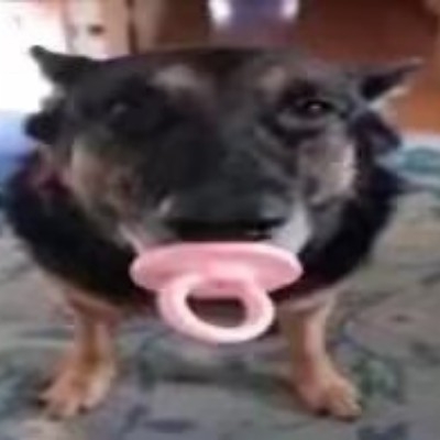 ?