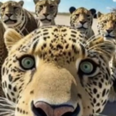 A环指音律派学徒