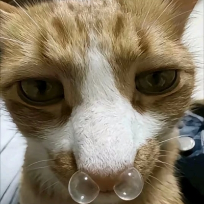 六日记