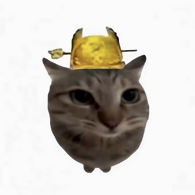 皇帝猫