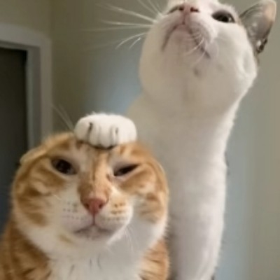 加纳
