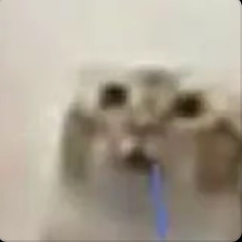 lla