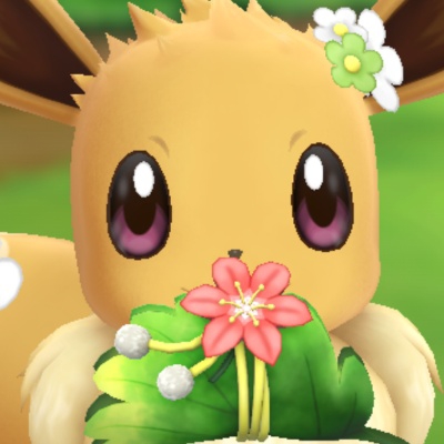 blackpink的仌wqj764